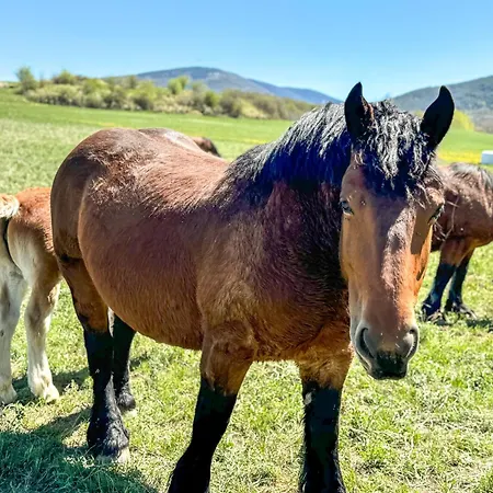 Cal Vilaldach * Llivia