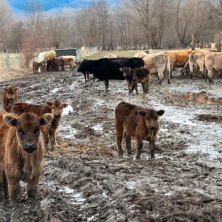 Cal Vilaldach Horská chata Llivia