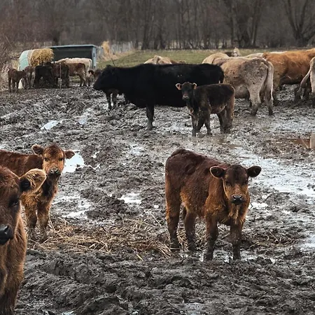 Cal Vilaldach * Llivia