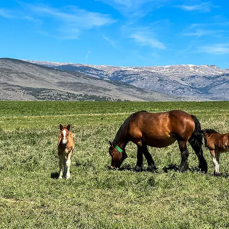 Chalé Cal Vilaldach *