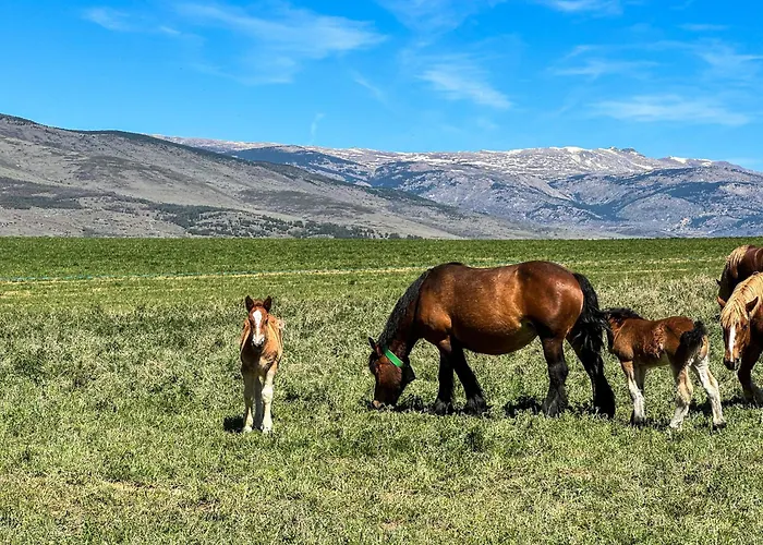 Chalet Cal Vilaldach *